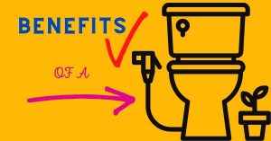 What is Bidet? A Brief Overview of the Types of Bidets.