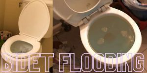 Bidet Flooding: Causes of Bidet Flooding, What to Do and How to Prevent it.