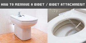 How to Remove a Bidet and Bidet Converter Kit- A complete Guide.