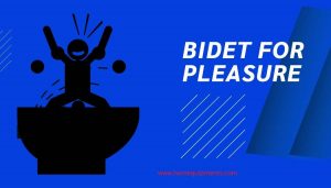 How to use a bidet for pleasure. Some facts revealed by real users  