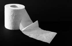 What is the width and length of a toilet paper roll? Charmin, Angel Soft, Scot and Cottonelle.