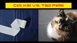 Kids, Cats, and Toilet Paper: The Best Ways to Prevent Toilet Paper Rolls from Unrolling